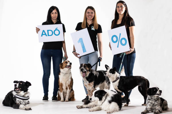 BC fajtamentés csapata